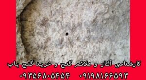تشخیص ساروج