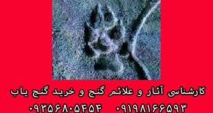 نشانه پای سگ در دفینه یابی