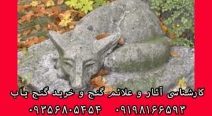 نماد روباه در گنج یابی