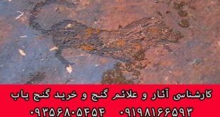 نماد پلنگ در دفینه یابی