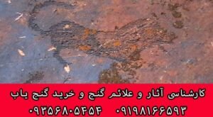 نماد پلنگ در دفینه یابی
