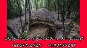 گنج یابی در جنگل