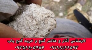 ساروج به چه معناست؟