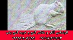 نماد موش در دفینه یابی