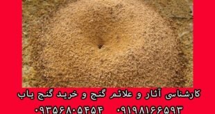 نقش مورچه در گنج و دفینه
