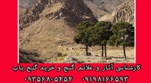 محیط دفینه گذاری