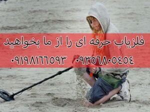 فلزیاب حرفه ای انتخاب کنیم