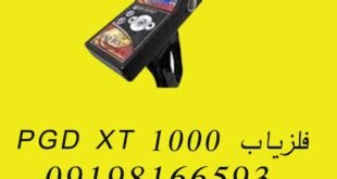 فلزیاب PGD XT 1000